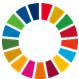 SDGs